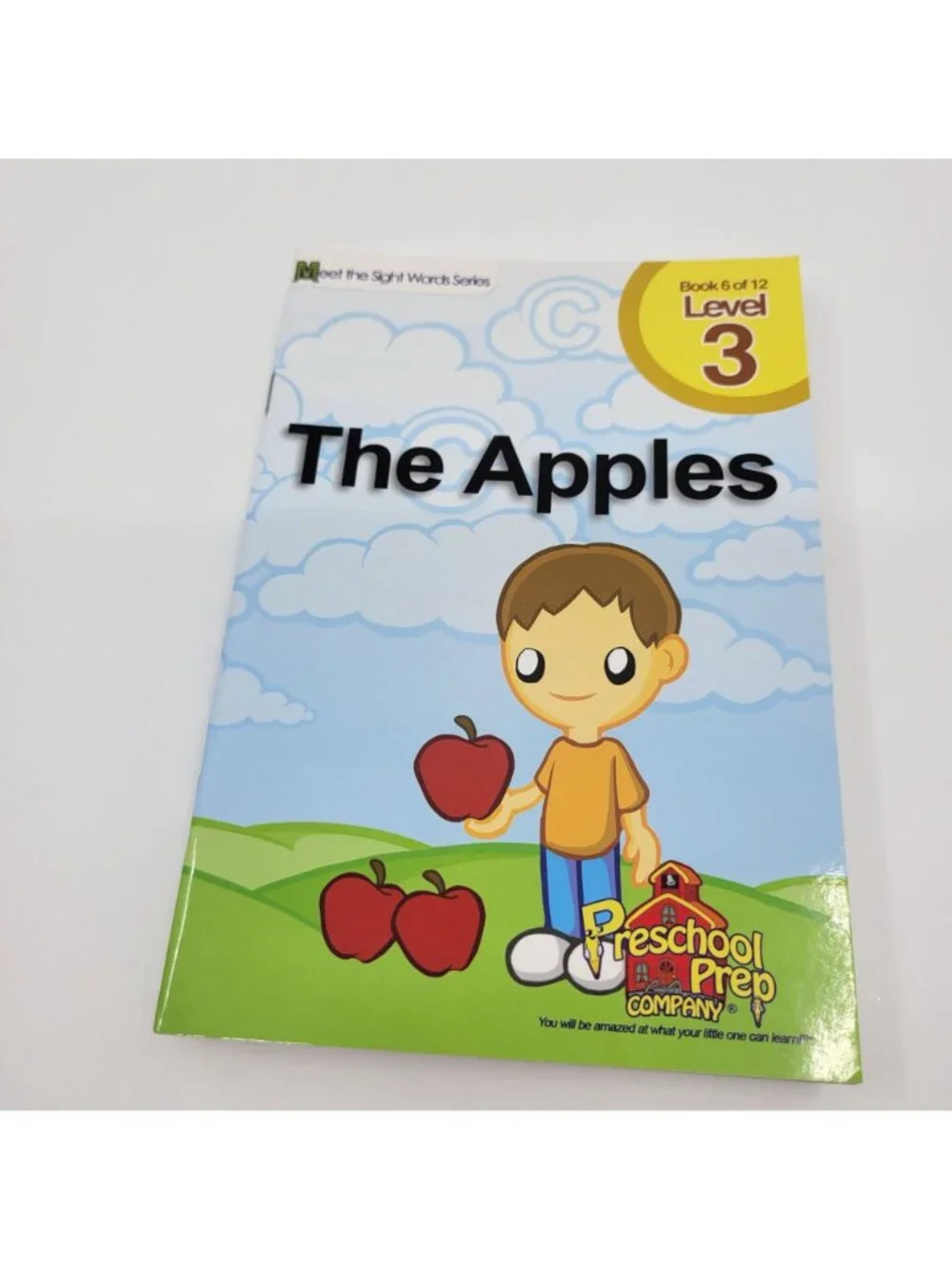 MEET THE SIGHT WORDS Lot of 13 Level 3 Reader Books - BK018